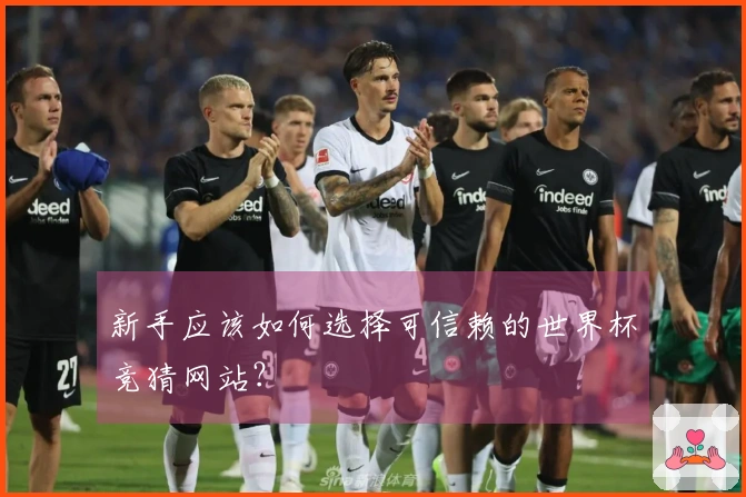 新手应该如何选择可信赖的世界杯竞猜网站？