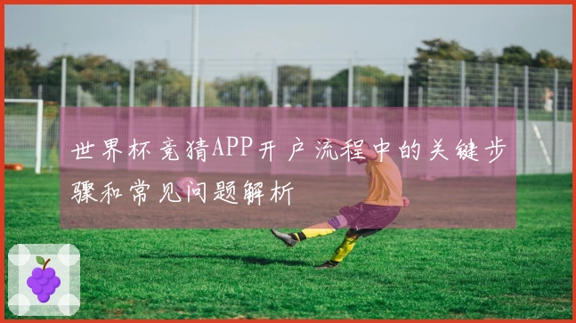 世界杯竞猜APP开户流程中的关键步骤和常见问题解析