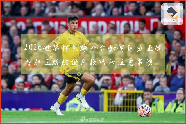 2026世界杯买球平台如何区分正规与非正规的使用技巧和注意事项