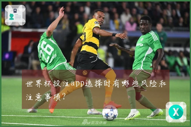 世界杯投注app选择时有哪些风险和注意事项？