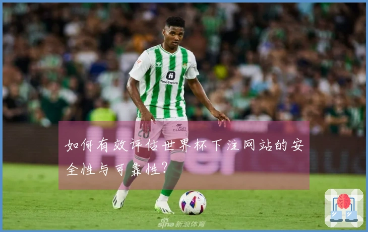 如何有效评估世界杯下注网站的安全性与可靠性?