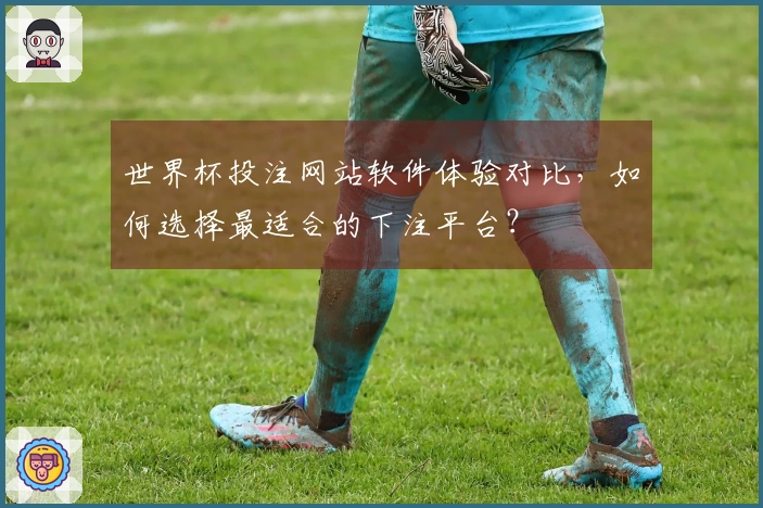世界杯投注网站软件体验对比，如何选择最适合的下注平台？
