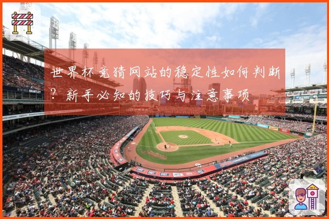 世界杯竞猜网站的稳定性如何判断？新手必知的技巧与注意事项