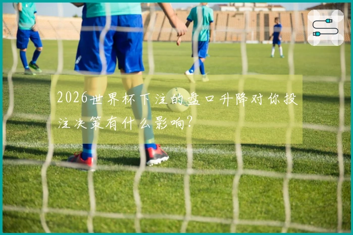 2026世界杯下注的盘口升降对你投注决策有什么影响？