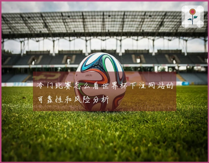 冷门比赛怎么看世界杯下注网站的可靠性和风险分析