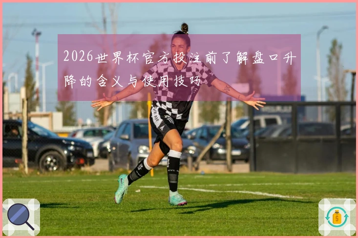 2026世界杯官方投注前了解盘口升降的含义与使用技巧