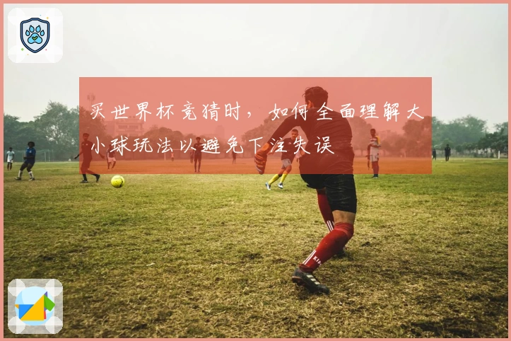 买世界杯竞猜时，如何全面理解大小球玩法以避免下注失误