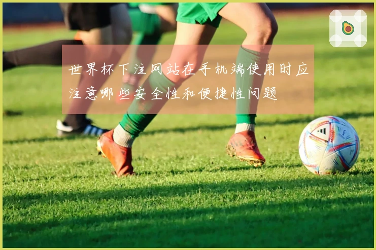 世界杯下注网站在手机端使用时应注意哪些安全性和便捷性问题