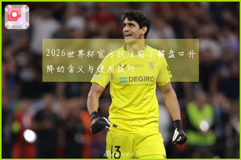 2026世界杯官方投注前了解盘口升降的含义与使用技巧