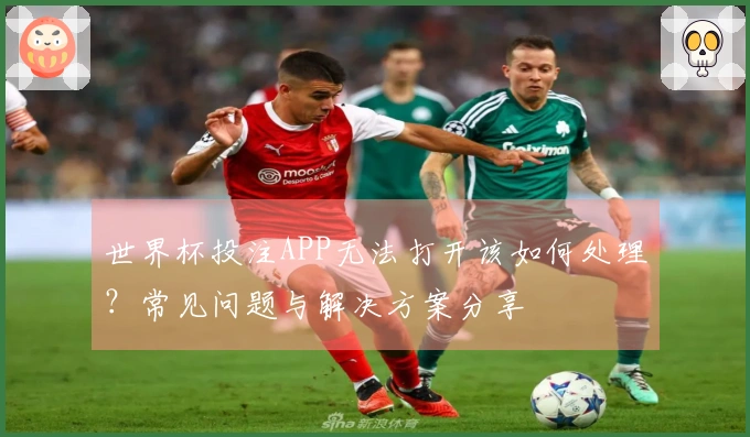 世界杯投注APP无法打开该如何处理？常见问题与解决方案分享