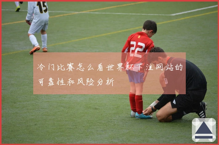 冷门比赛怎么看世界杯下注网站的可靠性和风险分析