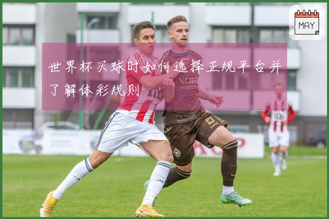 世界杯买球时如何选择正规平台并了解体彩规则