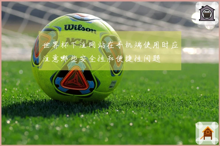 世界杯下注网站在手机端使用时应注意哪些安全性和便捷性问题