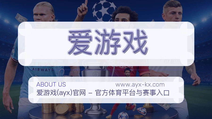 关于 爱游戏